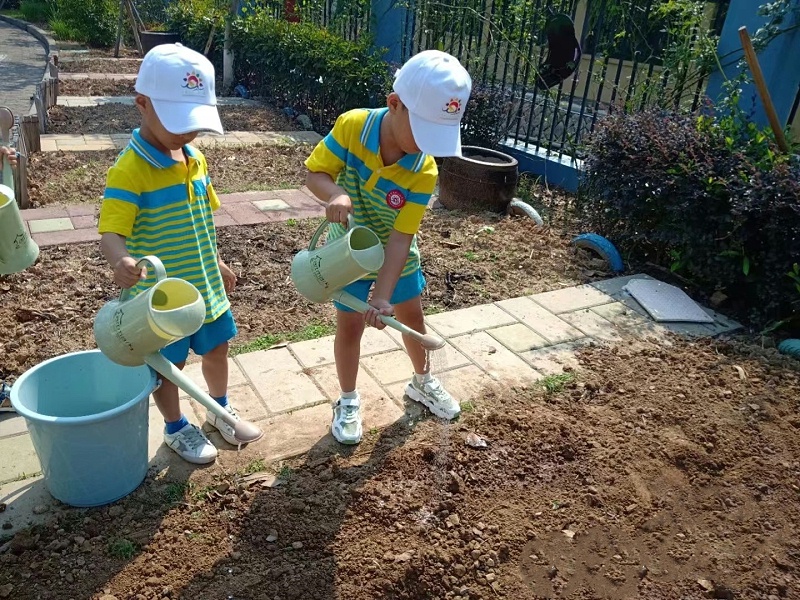 幼兒園小農(nóng)場設(shè)計(jì)